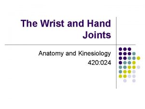 The Wrist and Hand Joints Anatomy and Kinesiology