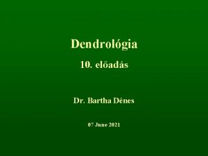 Dendrolgia