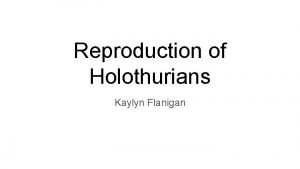 Reproduction of Holothurians Kaylyn Flanigan Introduction Franois Michonneau