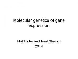 Molecular genetics of gene expression Mat Halter and