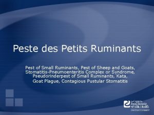 Peste des Petits Ruminants Pest of Small Ruminants