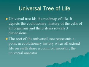 Universal Tree of Life u Universal tree ids