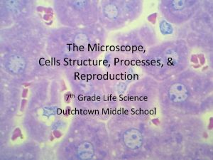 The Microscope Cells Structure Processes Reproduction 7 th