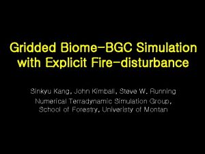 Gridded BiomeBGC Simulation with Explicit Firedisturbance Sinkyu Kang