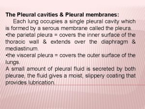 The Pleural cavities Pleural membranes Each lung occupies