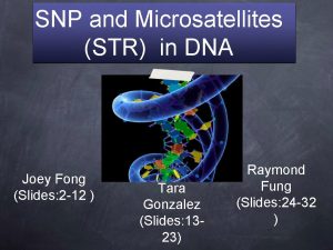 SNP and Microsatellites STR in DNA Joey Fong