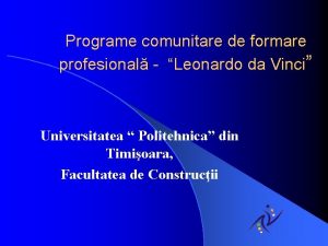 Programe comunitare de formare profesional Leonardo da Vinci