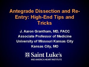 Antegrade Dissection and Re Entry HighEnd Tips and