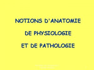 NOTIONS DANATOMIE DE PHYSIOLOGIE ET DE PATHOLOGIE Prvention