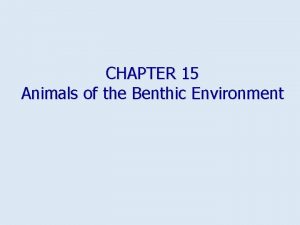 CHAPTER 15 Animals of the Benthic Environment Distribution