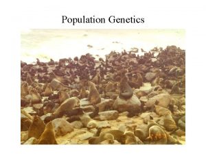 Population Genetics HardyWeinberg Equilibrium Determination Which of these