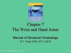 Chapter 7 The Wrist and Hand Joints Manual