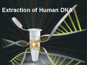 Extraction of Human DNA Experiment Goals Isolation of