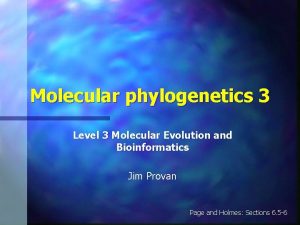 Molecular phylogenetics 3 Level 3 Molecular Evolution and