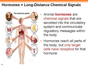 Hormones LongDistance Chemical Signals Animal hormones are chemical