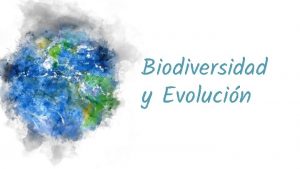 Biodiversidad y Evolucin Qu es la biodiversidad como