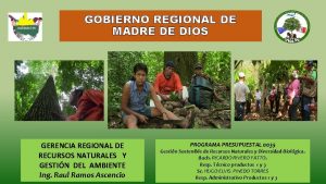 GOBIERNO REGIONAL DE MADRE DE DIOS GERENCIA REGIONAL