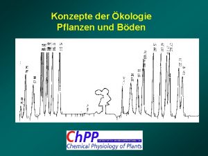 Konzepte der kologie Pflanzen und Bden Interaktionen zwischen