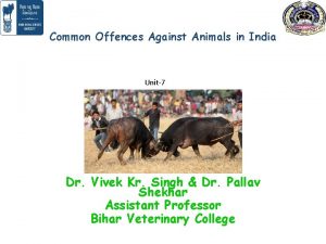 Common offences against animals