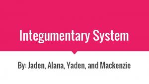 Integumentary System By Jaden Alana Yaden and Mackenzie