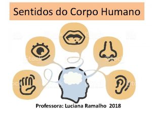 Sentidos do Corpo Humano Professora Luciana Ramalho 2018