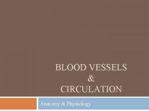BLOOD VESSELS CIRCULATION Anatomy Physiology Circulation of Blood