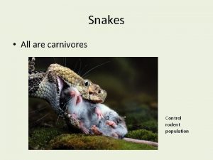 Snakes All are carnivores Control rodent population Methods