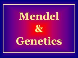 Mendel Genetics Who is the Father of Genetics