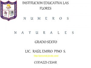 INSTITUCION EDUCATIVA LAS FLORES N N A E