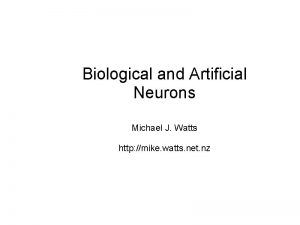 Biological and Artificial Neurons Michael J Watts http