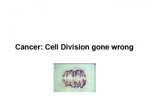 Cancer Cell Division gone wrong Mistakes Happen Copying