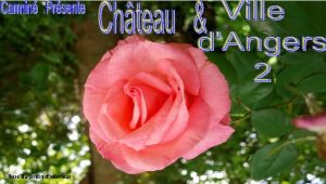 Rose du jardin dinterieur Ces jardins ont plusieurs