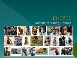 HEZS Ksztette Wang Rebeka q hez terletek A