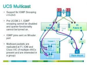 er Po rt Support for IGMP Snooping v