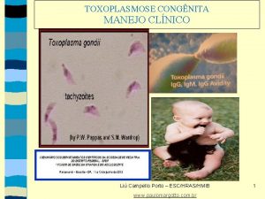 TOXOPLASMOSE CONGNITA MANEJO CLNICO Li Campello Porto ESCHRASHMIB