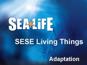 SESE Living Things Adaptation Habitats Animals can live
