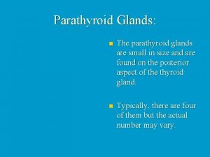 Parathyroid Glands n The parathyroid glands are small