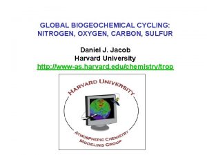 GLOBAL BIOGEOCHEMICAL CYCLING NITROGEN OXYGEN CARBON SULFUR Daniel