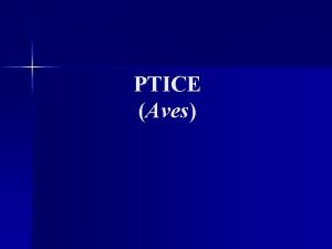 PTICE Aves n Ptice lat aves su razred