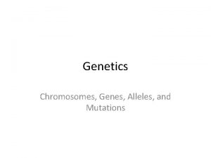 Genetics Chromosomes Genes Alleles and Mutations How is