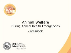 Animal Welfare During Animal Health Emergencies Livestock Animal