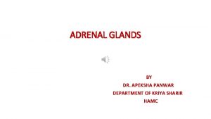 ADRENAL GLANDS BY DR APEKSHA PANWAR DEPARTMENT OF