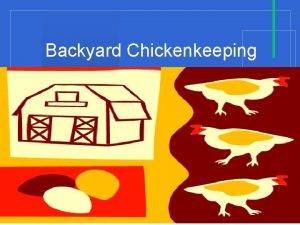 Backyard Chickenkeeping Hampton City Code Section 5 24