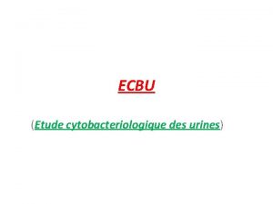 ECBU Etude cytobacteriologique des urines INTRODUCTION Linfection du