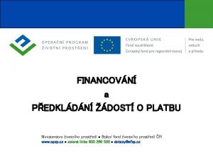 FINANCOVN a PEDKLDN DOST O PLATBU Ministerstvo ivotnho