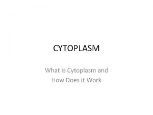 CYTOPLASM What is Cytoplasm and How Does it