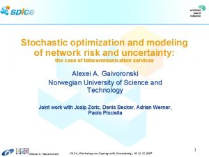 Stochastic optimization and modeling of network risk and