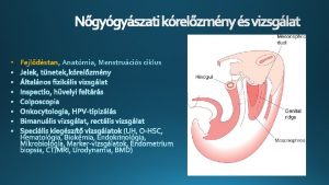 Ngygyszati krelzmny s vizsglat Fejldstan Anatmia Menstrucis ciklus