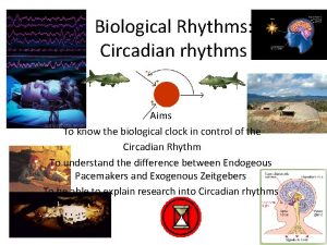 Biological Rhythms Circadian rhythms Aims To know the