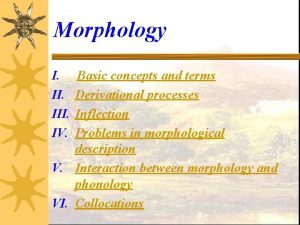 Morphology I III IV Basic concepts and terms